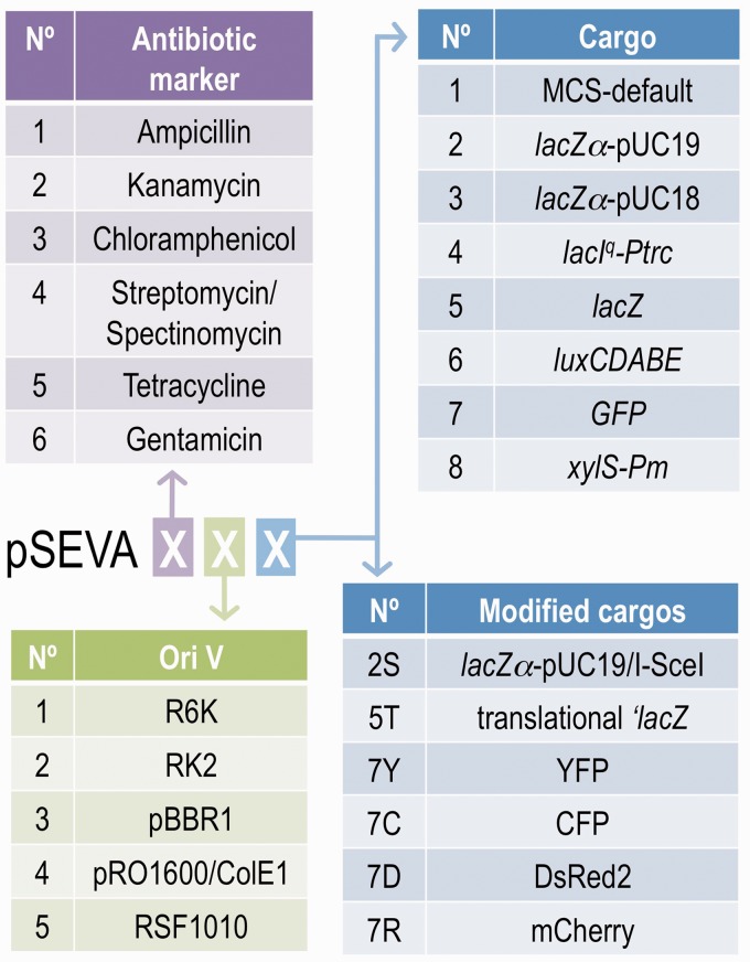 Figure 3.