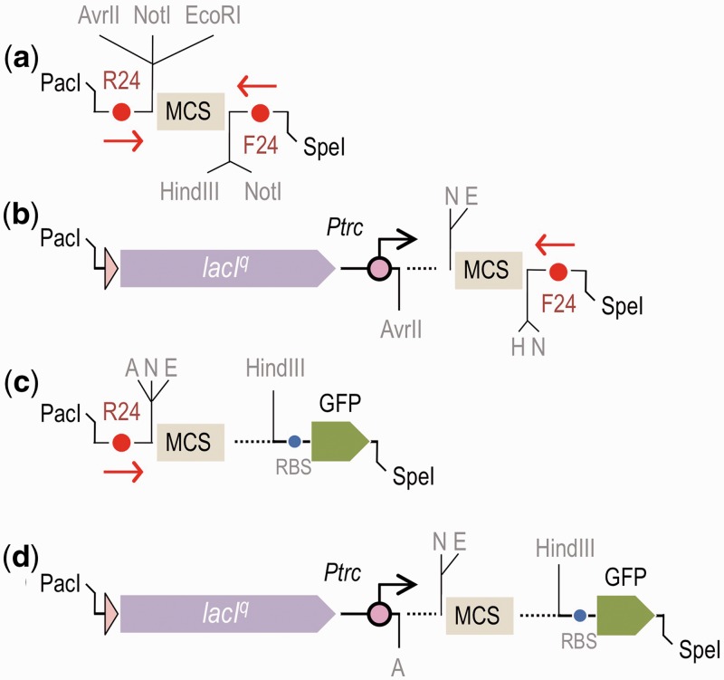 Figure 5.