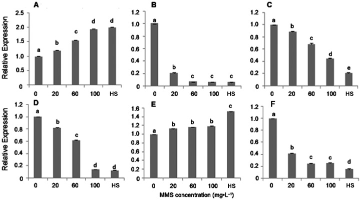 Figure 5