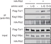 FIG 6