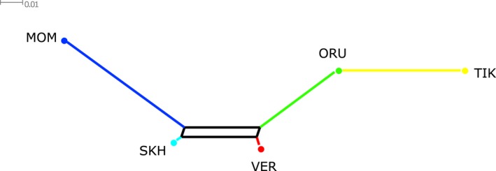 Figure 4