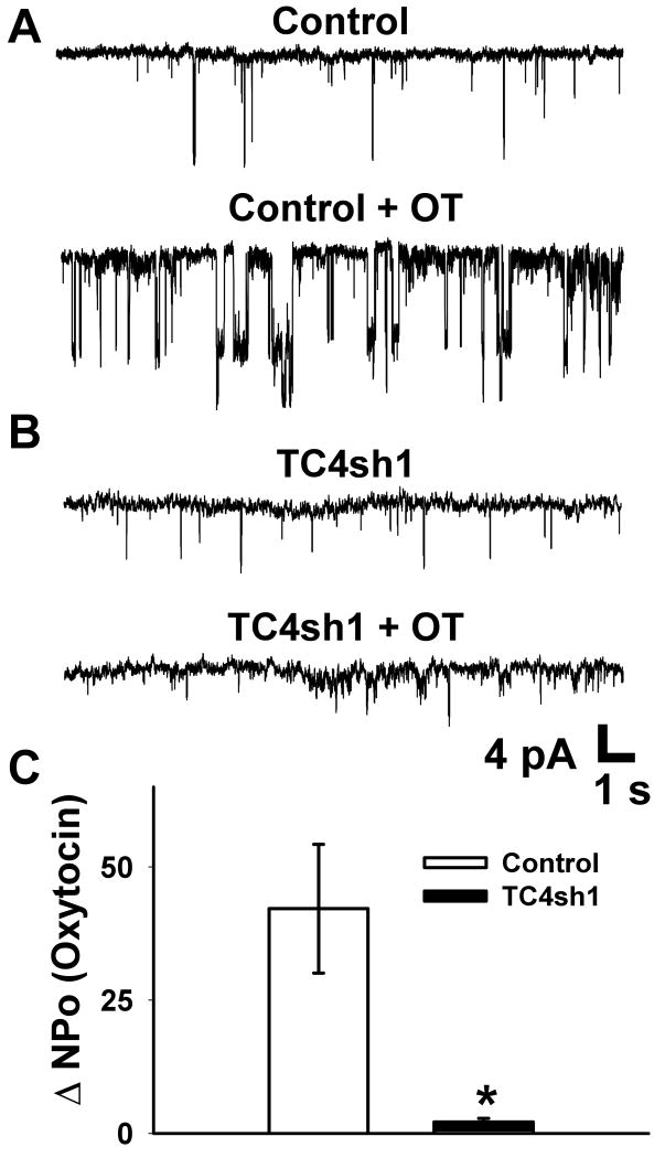 Fig. 8