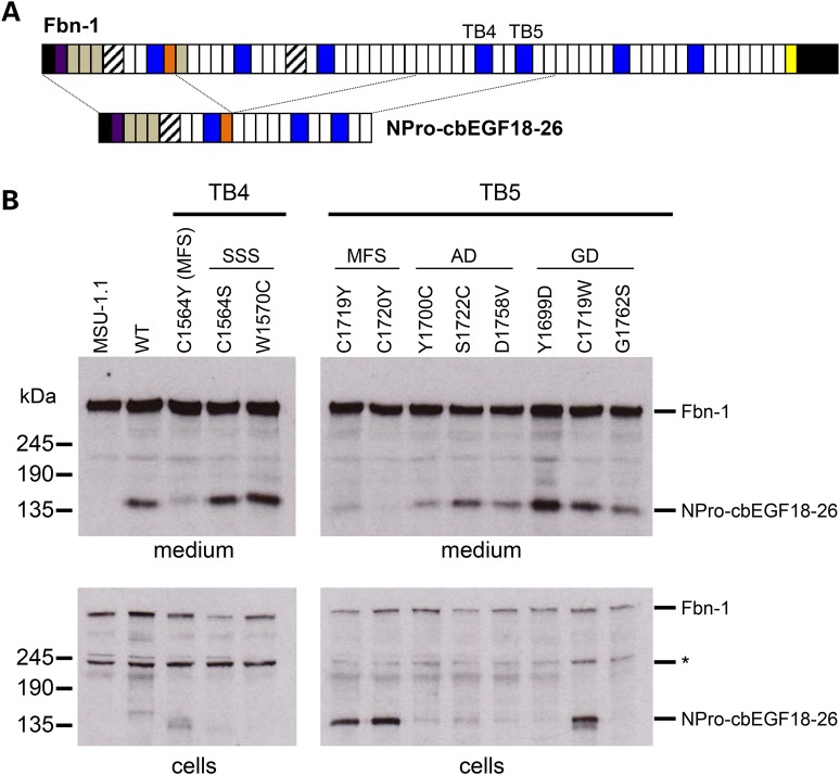 Figure 4.