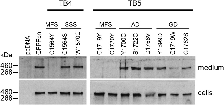 Figure 2.