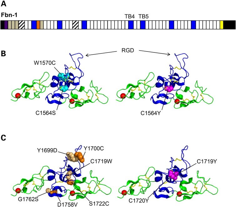 Figure 1.