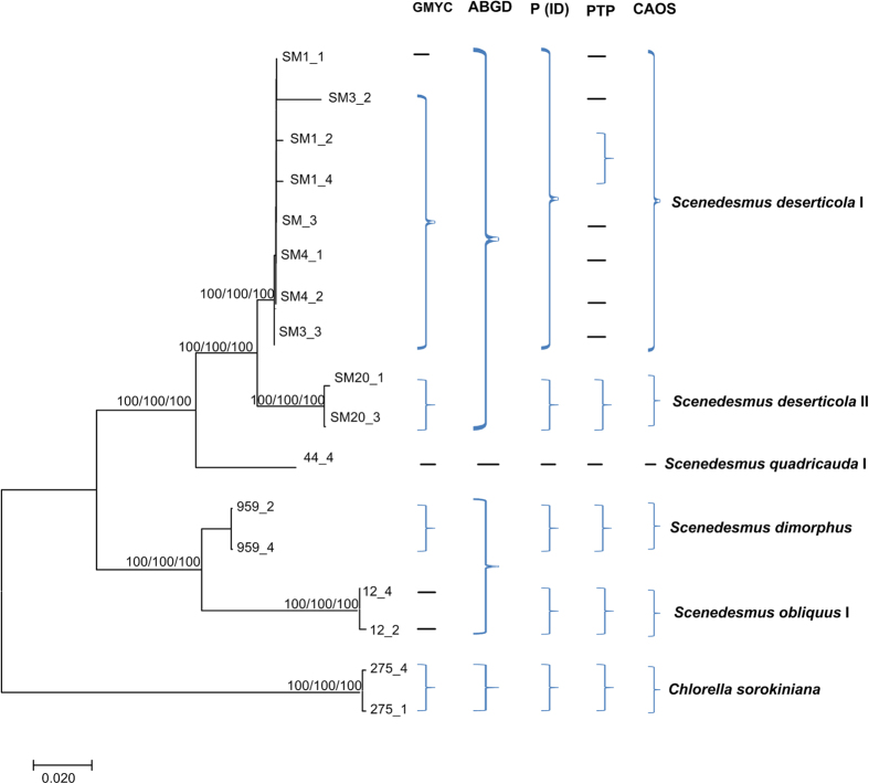 Figure 3