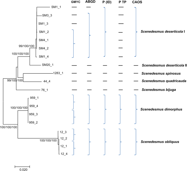 Figure 4