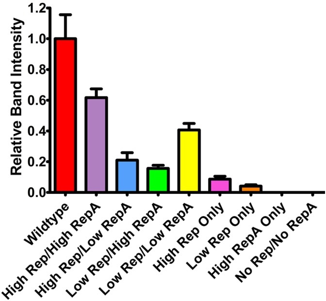 FIGURE 2