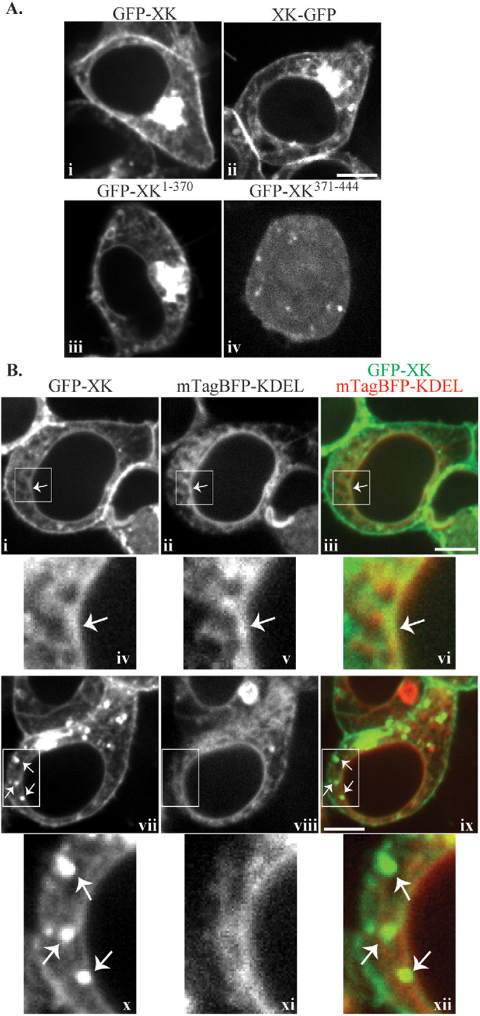 FIGURE 2: