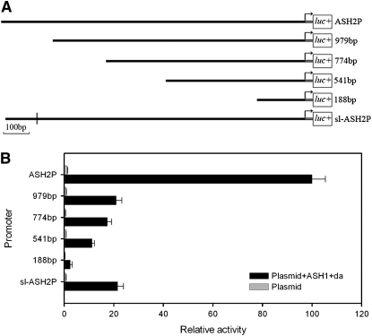 Figure 5.—