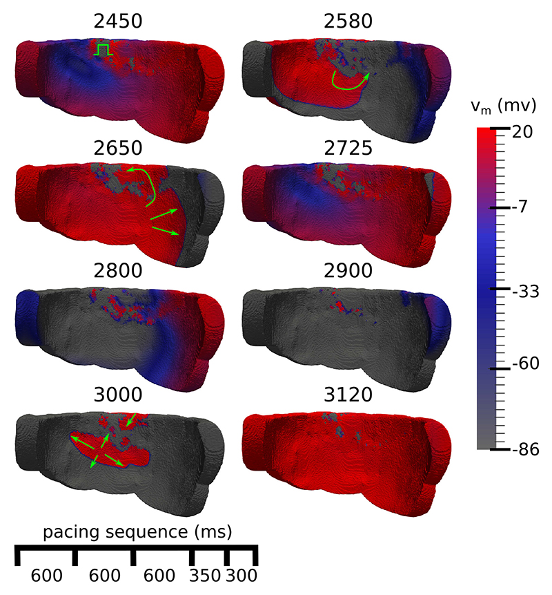 Fig. 8