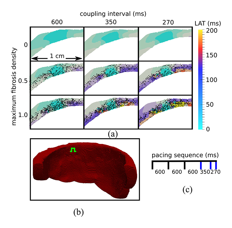 Fig. 6