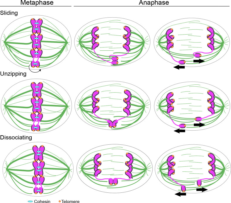 Fig 8