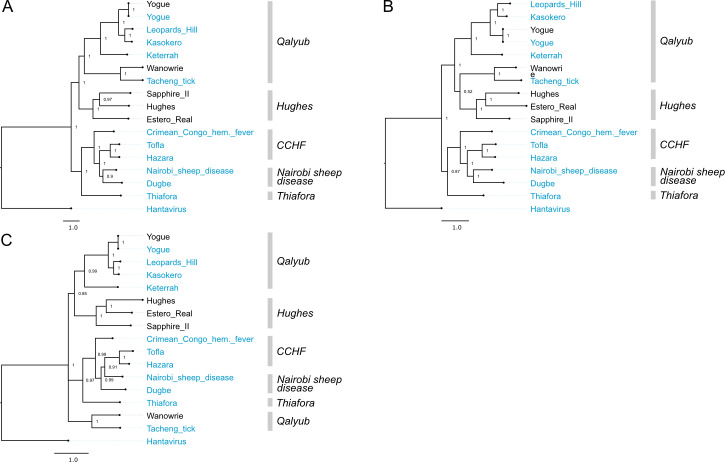 Fig 5