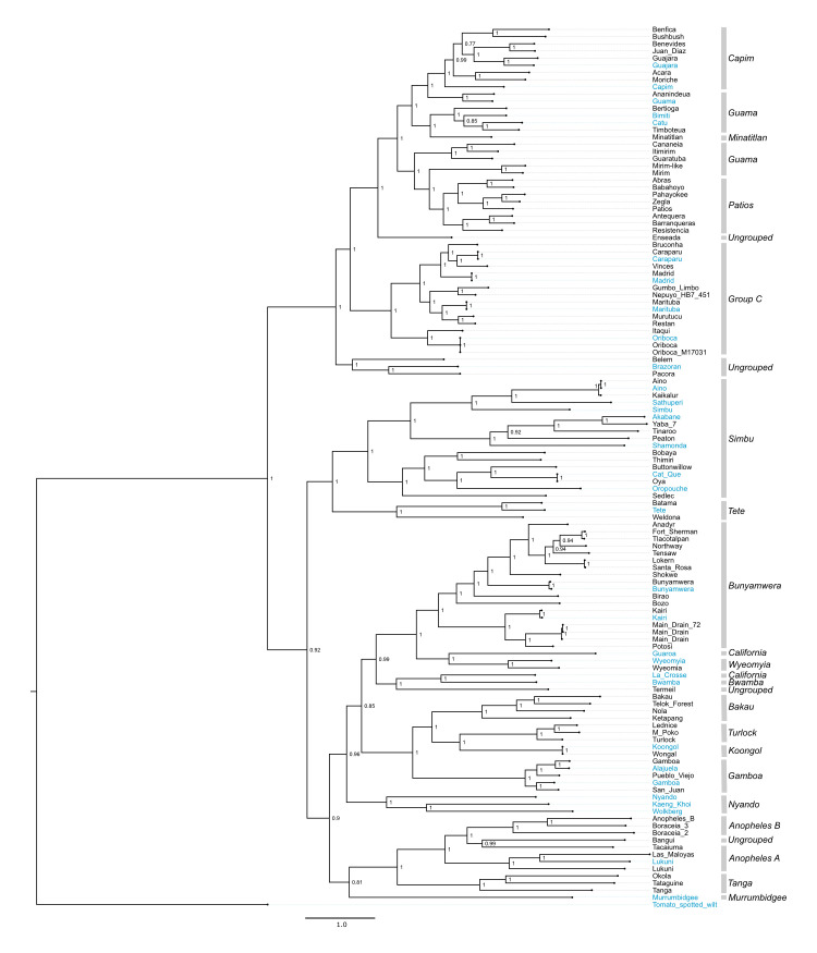 Fig 3