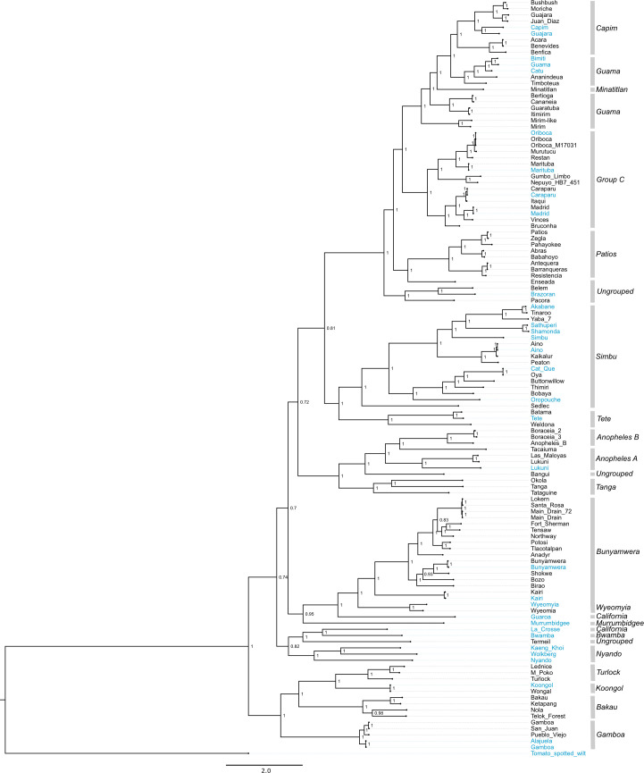 Fig 2