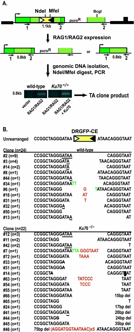 FIG. 4.