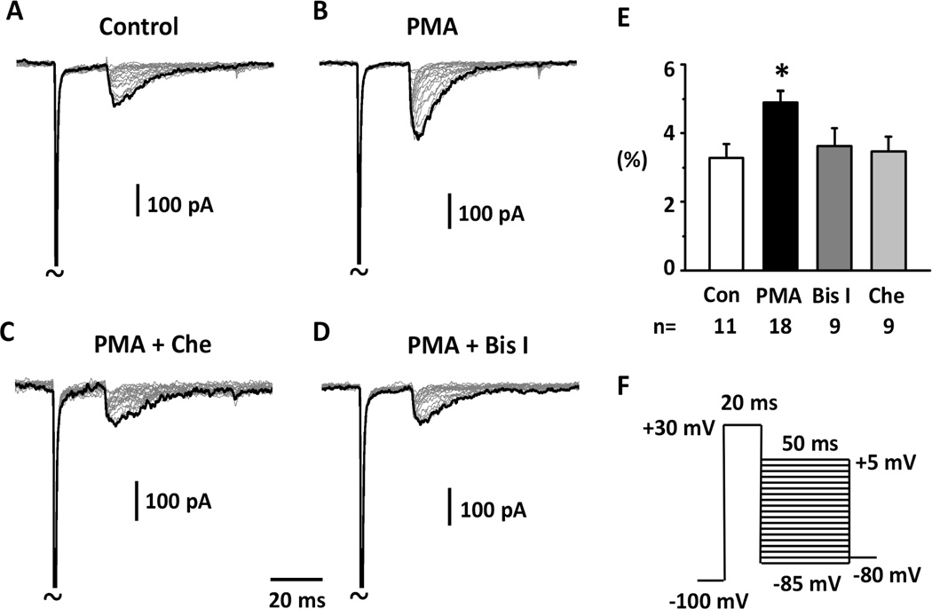 Fig.1