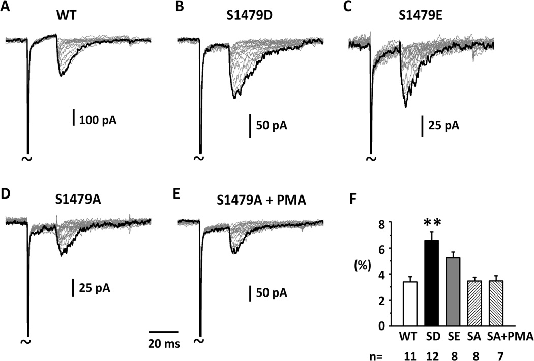 Fig.2