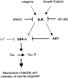 Fig. 10.