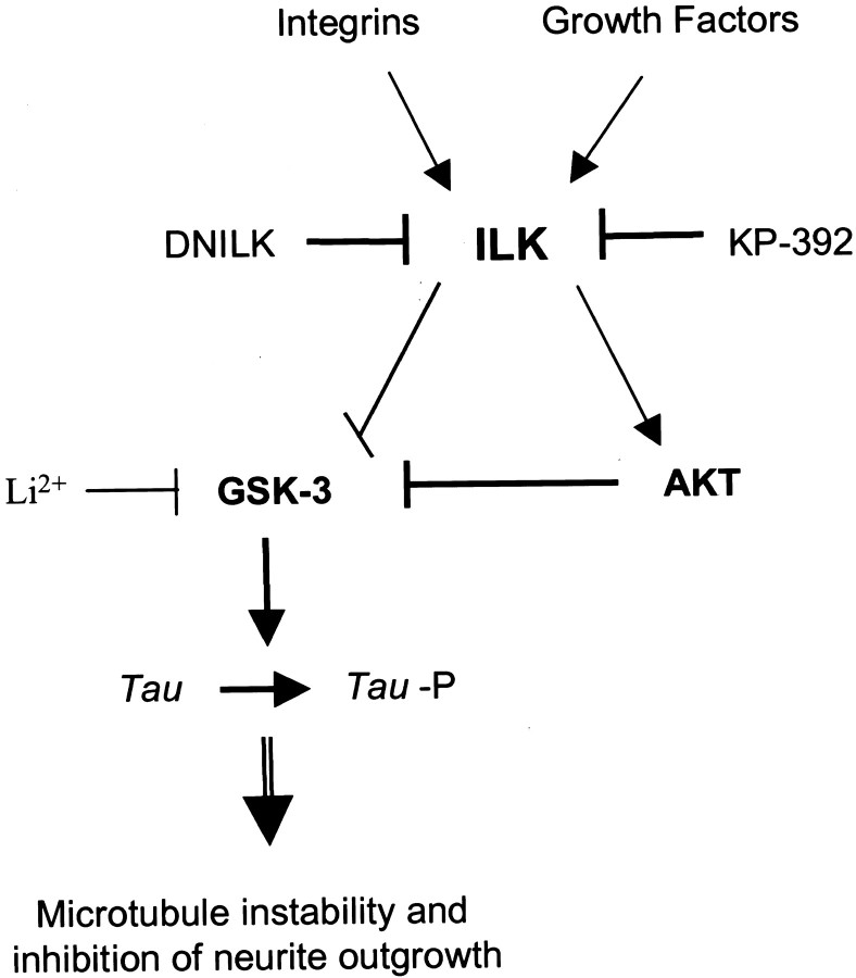 Fig. 10.