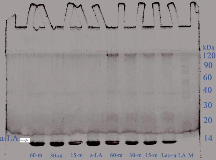 Fig. 10