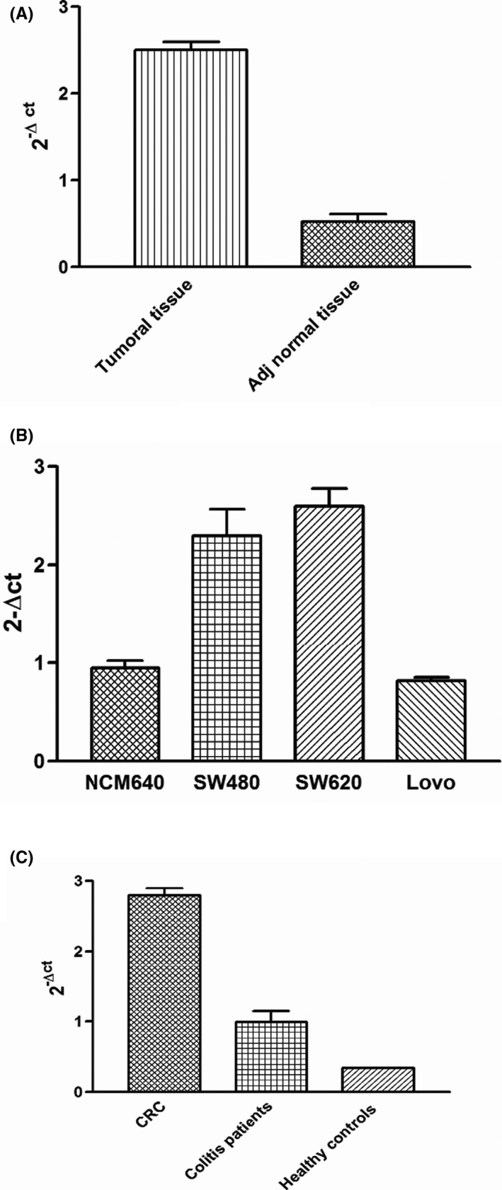 FIGURE 1