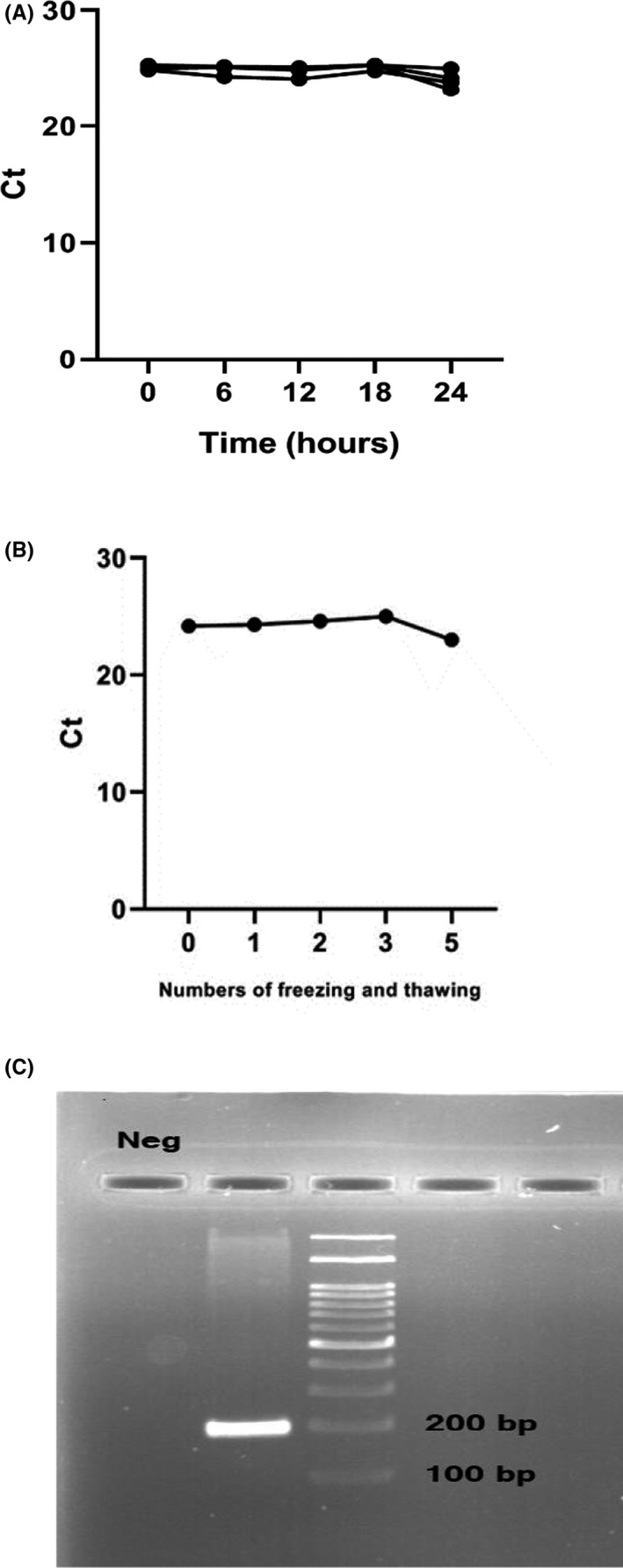 FIGURE 3