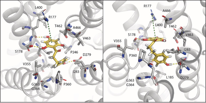 FIGURE 9