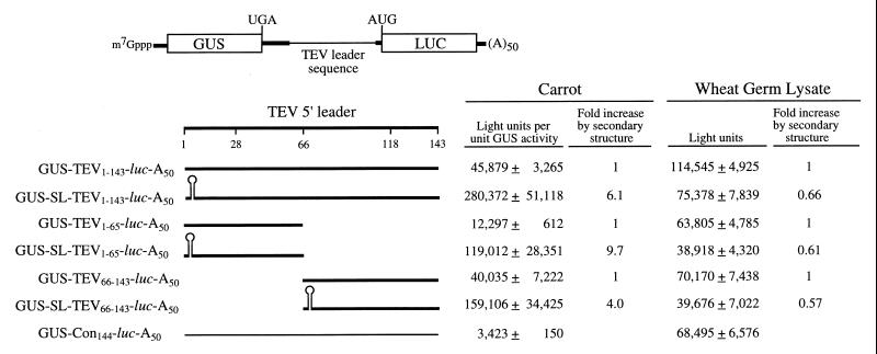 FIG. 6