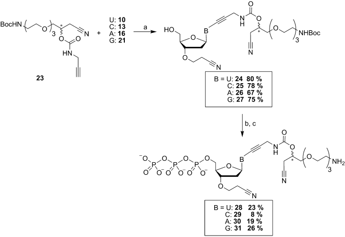 Scheme 7