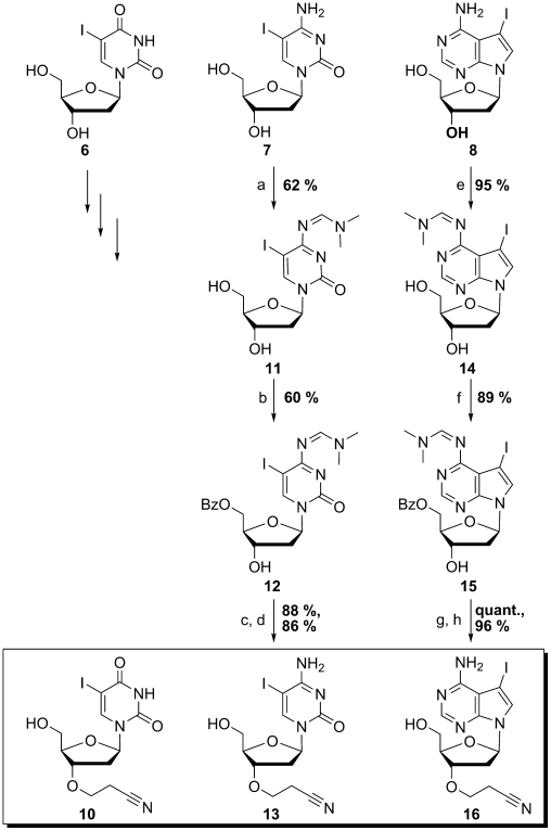 Scheme 4