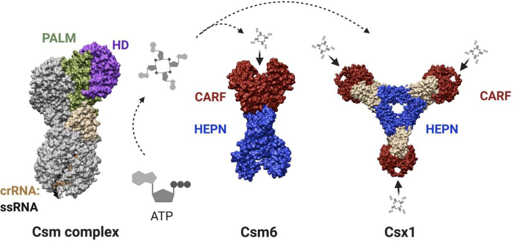 Figure 3.