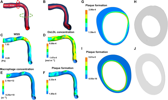 FIGURE 11