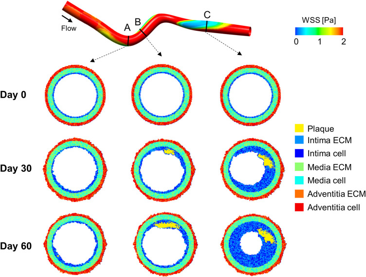 FIGURE 6