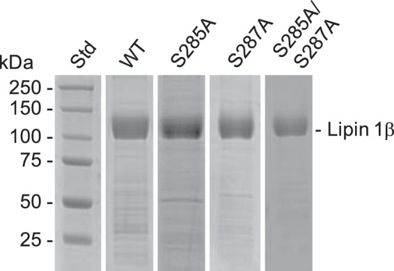 Figure 3.