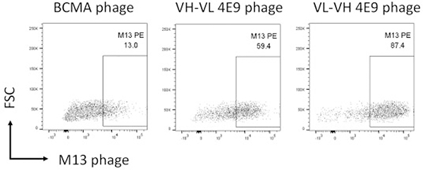 Figure 11.