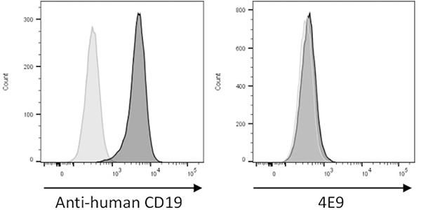 Figure 10.