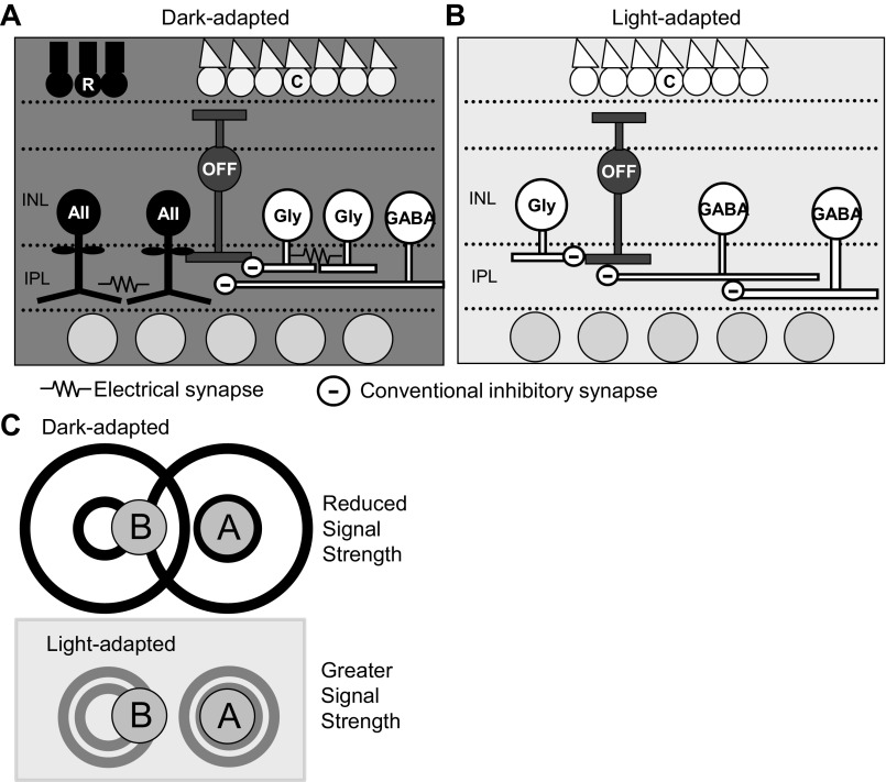 Fig. 11.