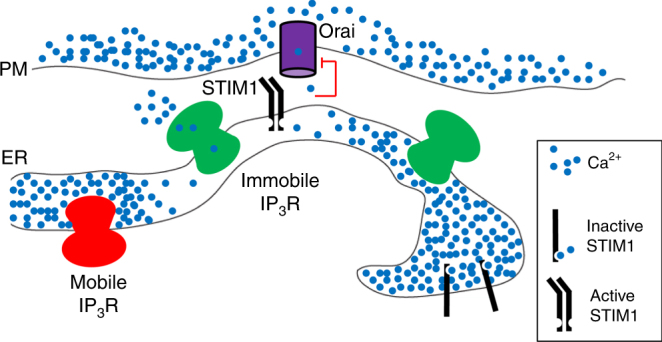 Fig. 9