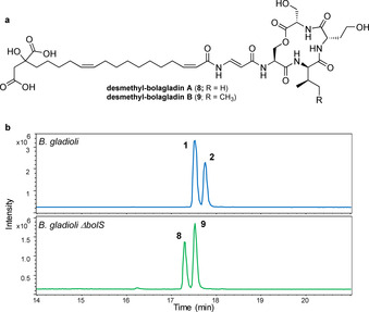 Figure 7