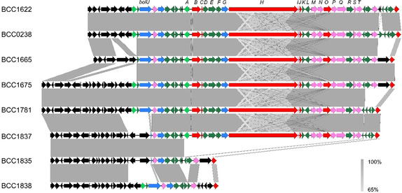 Figure 9