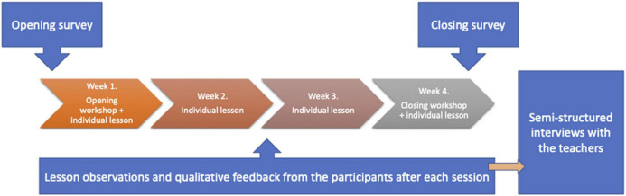 FIGURE 1