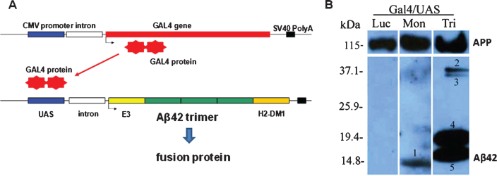 Fig.1