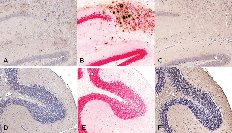 Fig.12