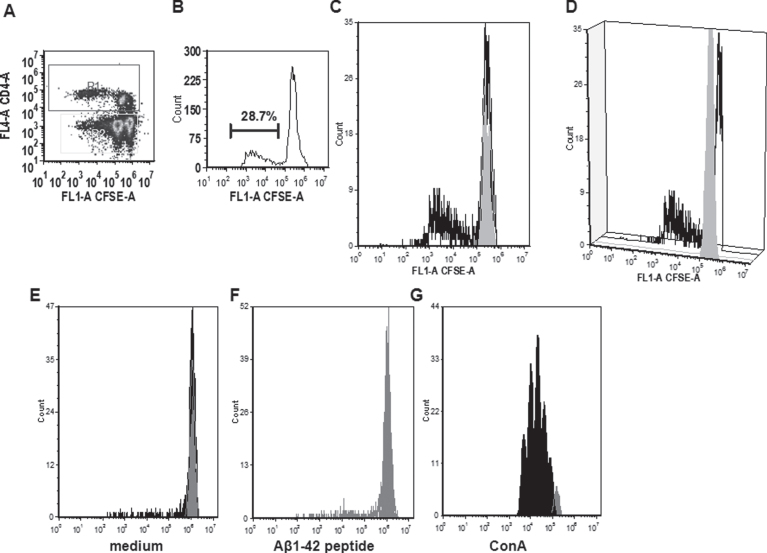 Fig.11