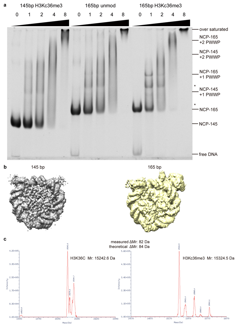 Extended Data Fig. 1