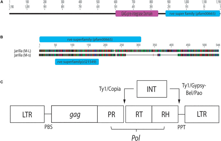 FIGURE 12