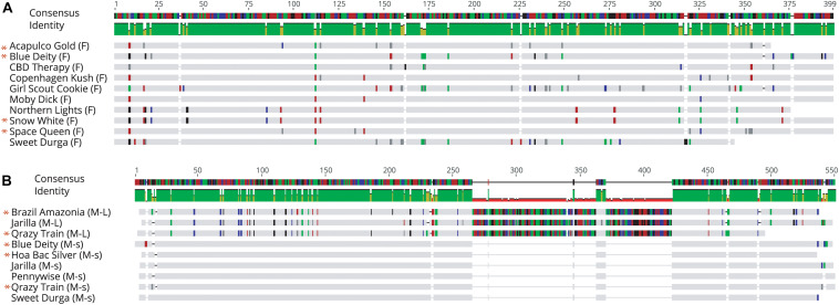 FIGURE 11