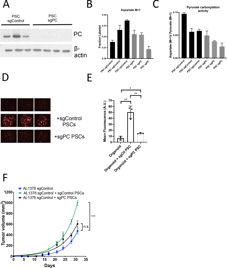 Figure 6—figure supplement 2.